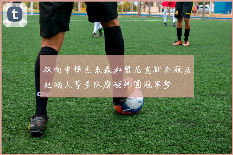双向中锋杰米森加盟尼克斯夺冠历经湖人等多队磨砺终圆冠军梦