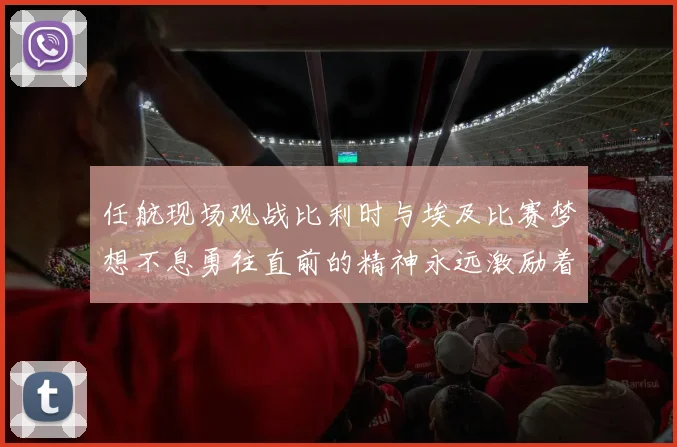 任航现场观战比利时与埃及比赛梦想不息勇往直前的精神永远激励着我们